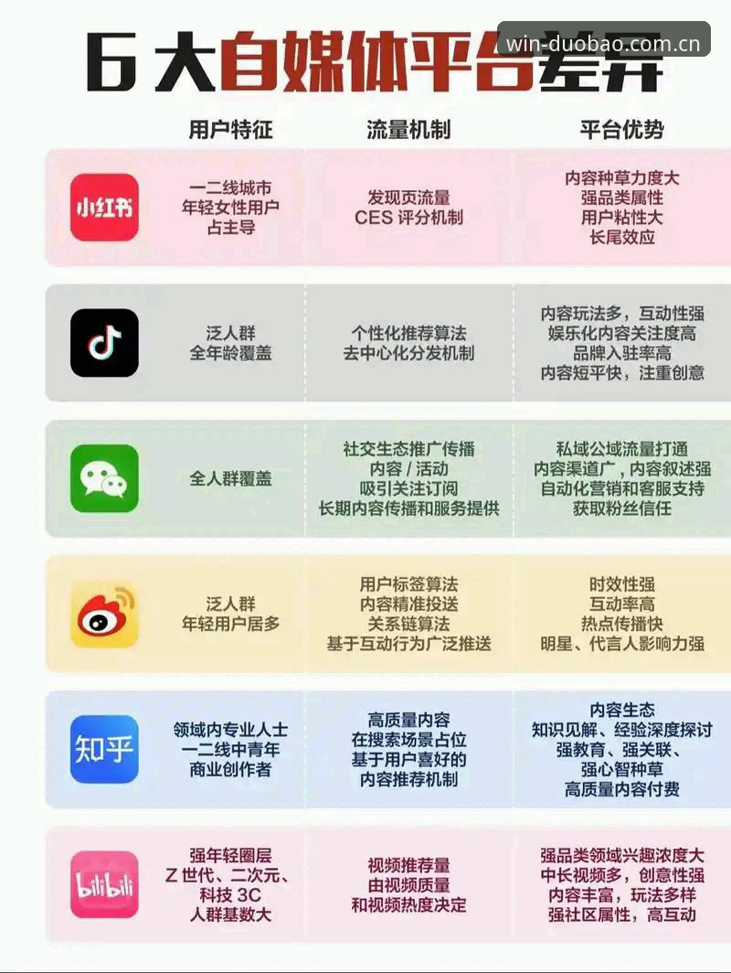 多宝体育官方App与网页版全面对比：哪个更适合你的娱乐需求？